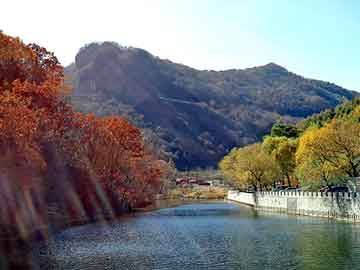 大三巴一肖二码最准，松香甘油酯